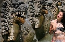 Bali Full-Day Hidden Hills, Twin Waterfalls and Hot Spring Tour