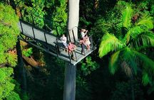 Tamborine Rainforest Skywalk + Hop on Hop off Bus