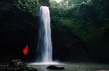 Private Full-Day Tour: The Beauty of Bali Waterfall Trip