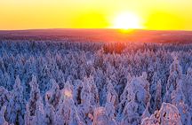 1-Hour Snowmobile Safari Adventure in Rovaniemi