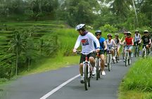 Bali Cycling and Jungle Swing Adventure Experience