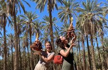 Private two-day tour in Biskra Date Palm Grove