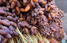 Private two-day tour in Biskra Date Palm Grove