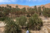 Private two-day tour in Biskra Date Palm Grove
