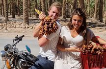 Private two-day tour in Biskra Date Palm Grove