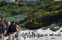 Cape Town: Cape of Good Hope Tour, Penguin Beach & Table Mountain