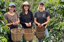Coffee Tour and Jeep Tour at Finca Mariposa in Jardin 