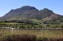 Private Wine Tour Cape Town with Local Guide, Tasting Fees Includ