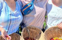 Coffee Tour and Jeep Tour at Finca Mariposa in Jardin 