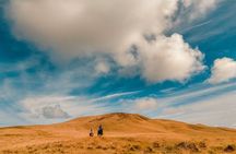  Private Horseback Riding on Easter Island