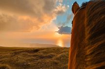  Private Horseback Riding on Easter Island