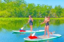 Paddle with Pups in Paradise - Paddleboard or Kayak