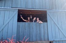 Wine History Tours: Private Willamette Valley Wine Tour