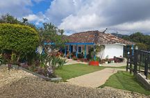 Medellín Private Tour with Waterfall adventure Zipline & Hiking