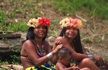 Chagres Expedition: Discover Emberá Culture and Sustainability
