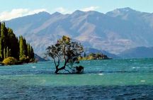 Wine Tasting Adventure Wanaka and Beyond