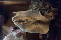 The Haunted Pubs of Old London: Small Group Tour