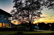 Botanic Gardens & Tiong Bahru Walking Tour with Breakfast