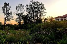 Botanic Gardens & Tiong Bahru Walking Tour with Breakfast