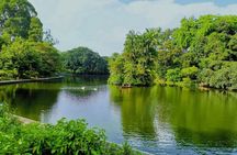 Botanic Gardens & Tiong Bahru Walking Tour with Breakfast