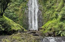 Materuni Waterfall and Coffee Plantation Half Day Tour