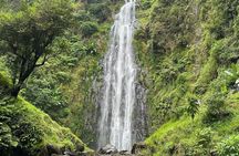 Materuni Waterfall and Coffee Plantation Half Day Tour