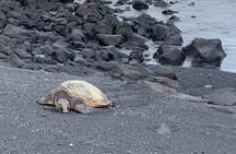 PRIVATE Shore Excursion - 'Best of Hilo and Hamakua coast