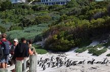 Tour Cape Peninsula and Boulders Beach Day Trip from Cape Town