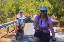 Princes' Islands E-bike Tour