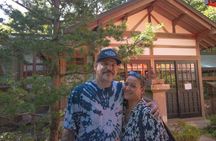 Kyoto, Nara and Osaka private up to 9 pax picked up from Kyoto