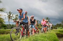 Bali Cycling and Uluwatu Sunset Tour with Dinner Packages