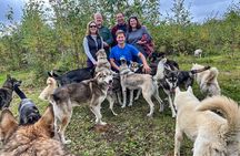 Sled Dog Kennel Tour 