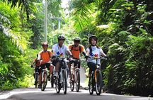 Bali Cycling and Ayung Rafting Packages