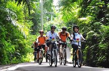 Bali Cycling and Jungle Swing Adventure Experience