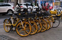 Beijing Highlights-Private Beijing Bike Tour