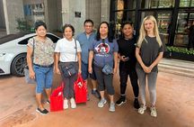 Kuala Lumpur Airport Layover Tour