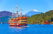 Private Mount Fuji and Hakone sightseeing Day trip with guide 