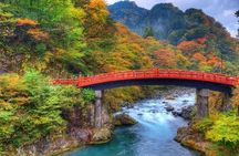 From Tokyo: Nikko Private 1-Day Sightseeing trip with Guide