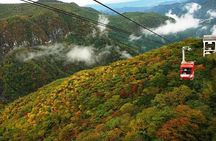 From Tokyo: Nikko Private 1-Day Sightseeing trip with Guide