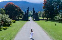Bali Car-Charter: Amazing North Bali Tour