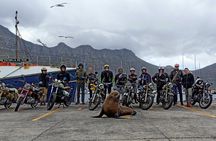 2 Hours Morning Ride on a Classic Royal Enfield in Cape Town