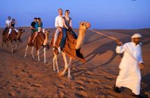 Private Car Evening Desert Safari Up to 6 People
