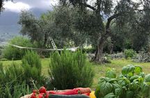 Cooking course Italian cooking together in Palombara Sabina