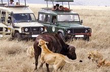 3 days Maasai Mara Camping Safari On 4X4 Land Cruiser Jeep