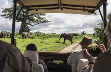 3 Days and 2 Night Maasai Mara Group Safari Tour 