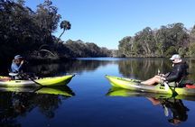 Private Chassahowitzka River Exploration kayak tour
