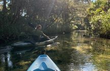 Private Chassahowitzka River Exploration kayak tour