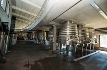 Organic & Biodynamic Wine Adventure in Mendoza
