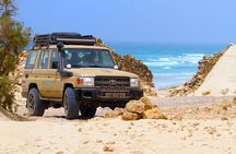 Boa Vista: 4h North Jeep Expedition Off-Road