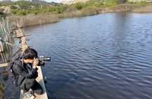 BirdWatching Mantagua Wetland&Penguins Cachagua Island From Valpo